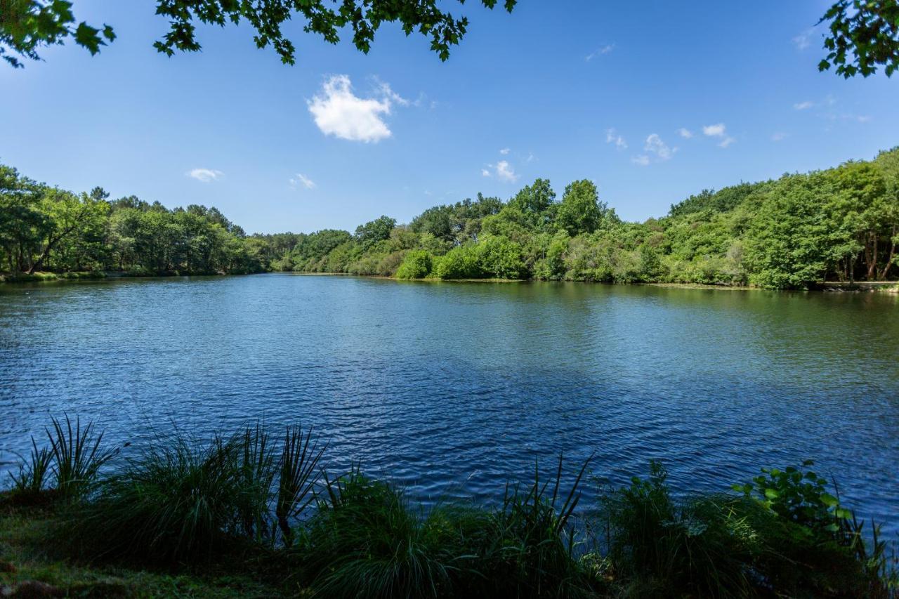Camping L'Etang D'Ardy *** Saint-Paul-lès-Dax المظهر الخارجي الصورة