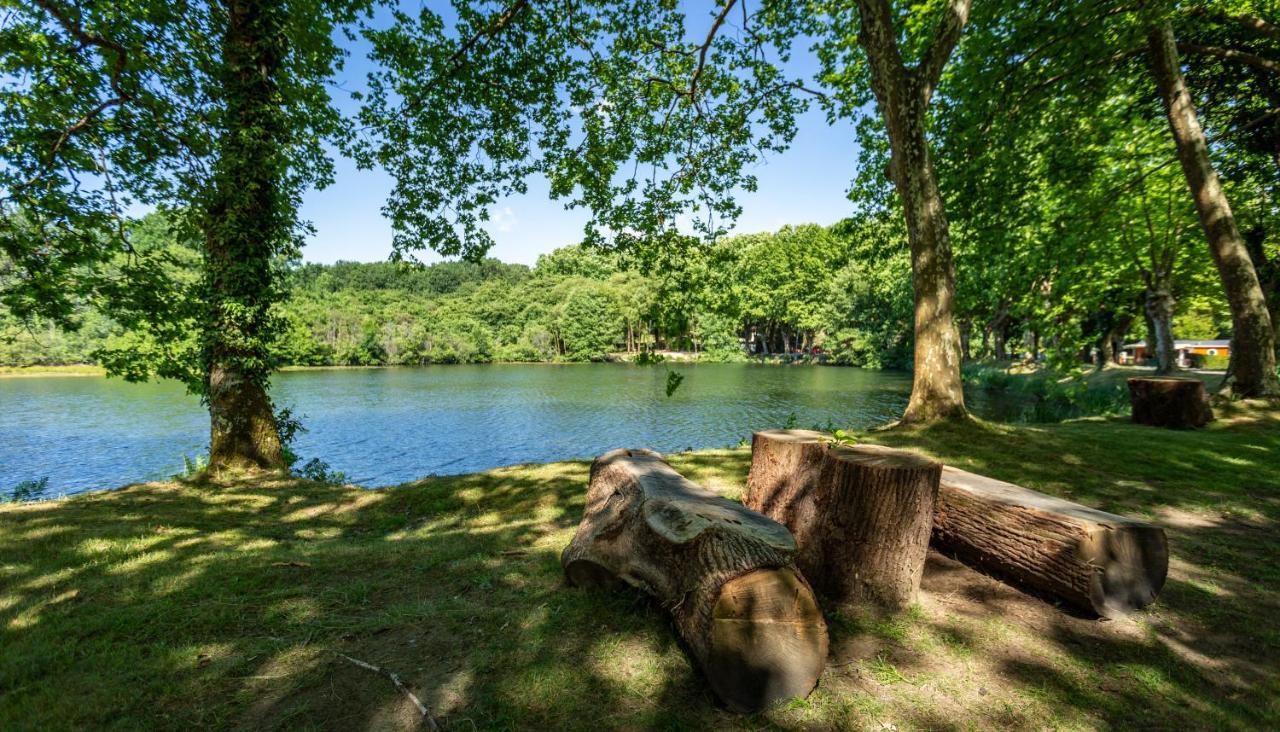 Camping L'Etang D'Ardy *** Saint-Paul-lès-Dax المظهر الخارجي الصورة