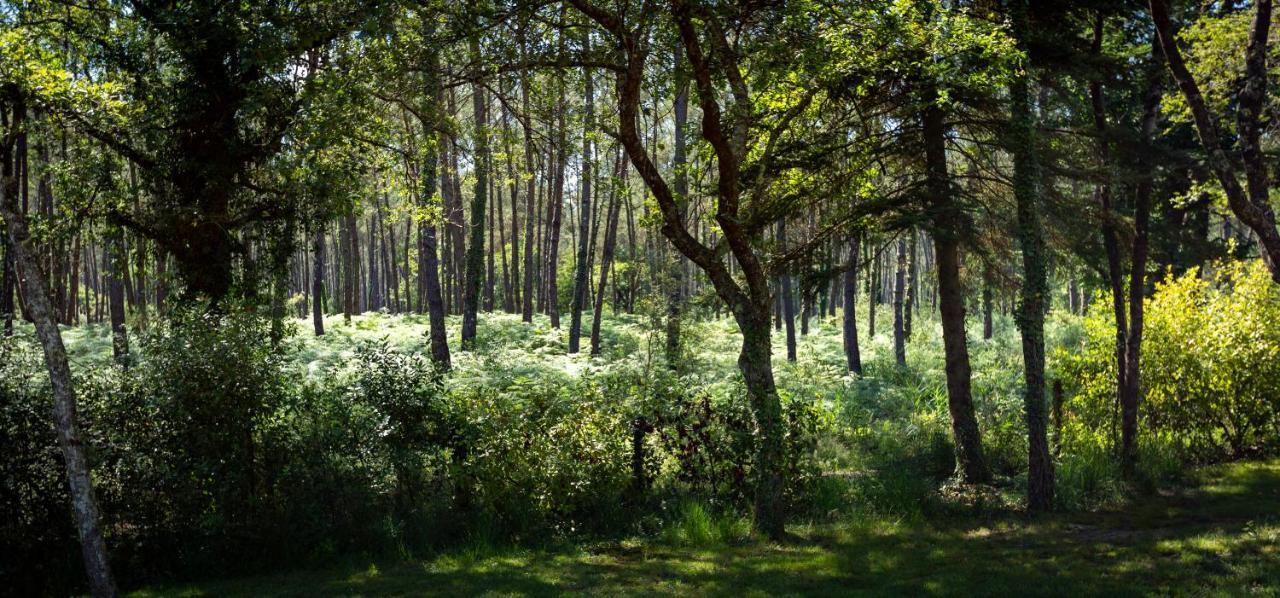 Camping L'Etang D'Ardy *** Saint-Paul-lès-Dax المظهر الخارجي الصورة