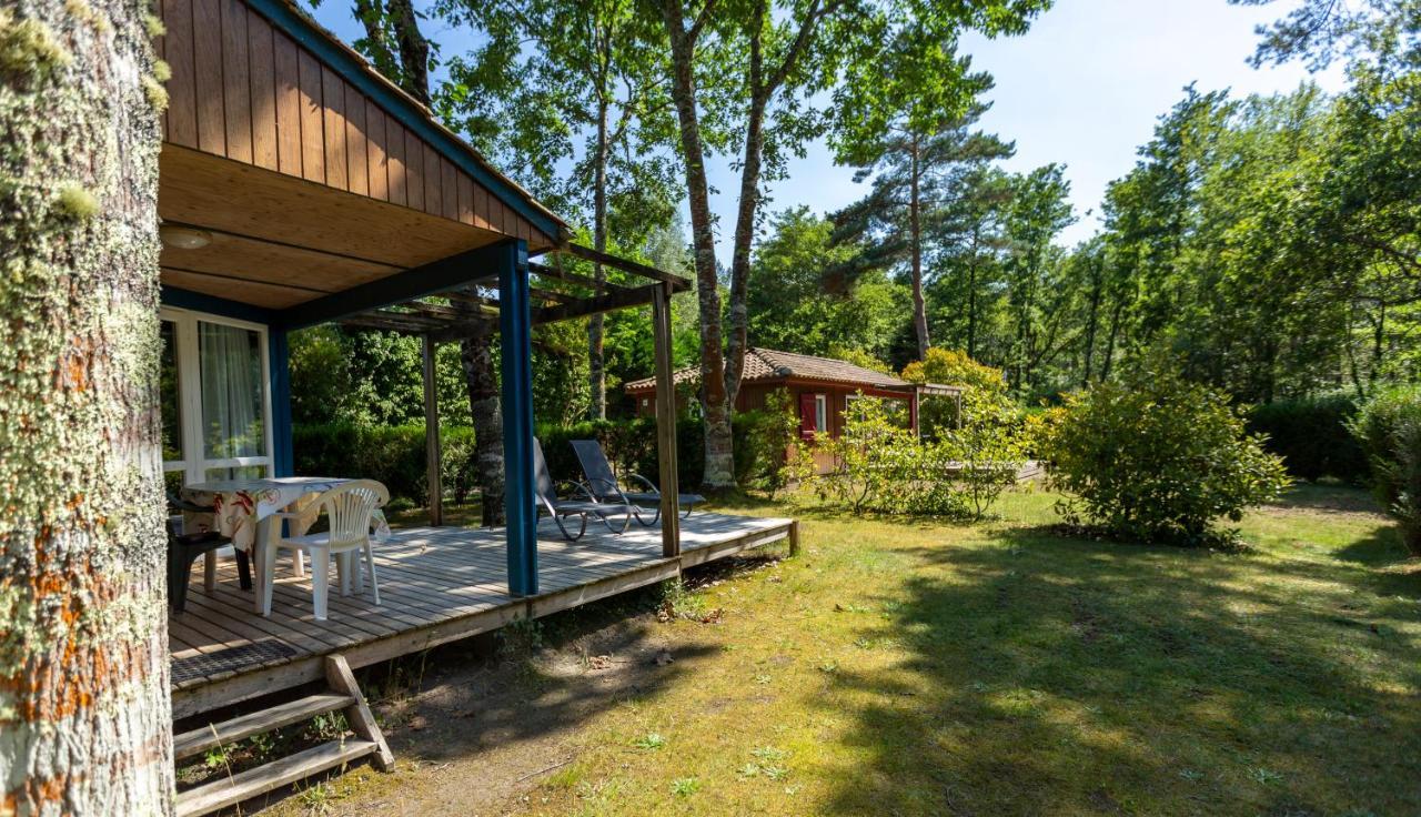 Camping L'Etang D'Ardy *** Saint-Paul-lès-Dax المظهر الخارجي الصورة