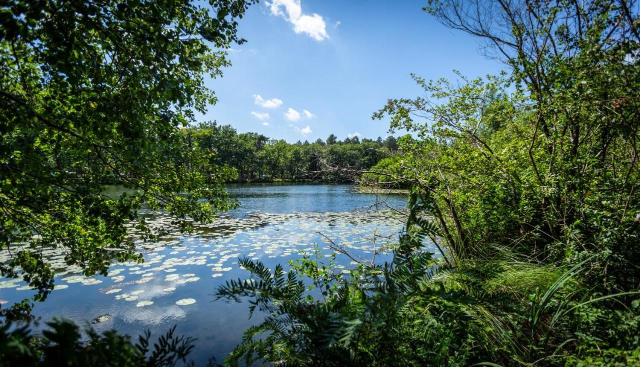Camping L'Etang D'Ardy *** Saint-Paul-lès-Dax المظهر الخارجي الصورة